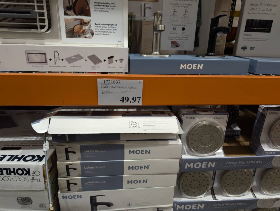 MOEN Laken Bathroom Faucet-1721837-Livermore, CA