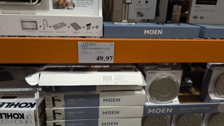 MOEN Laken Bathroom Faucet-1721837-Livermore, CA