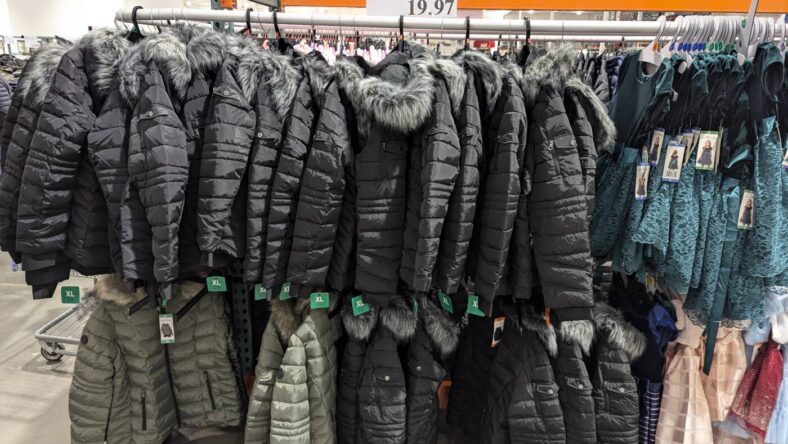 Nautica Ladies Puffer with Faux Fur Hood-1791181-Danville, CA