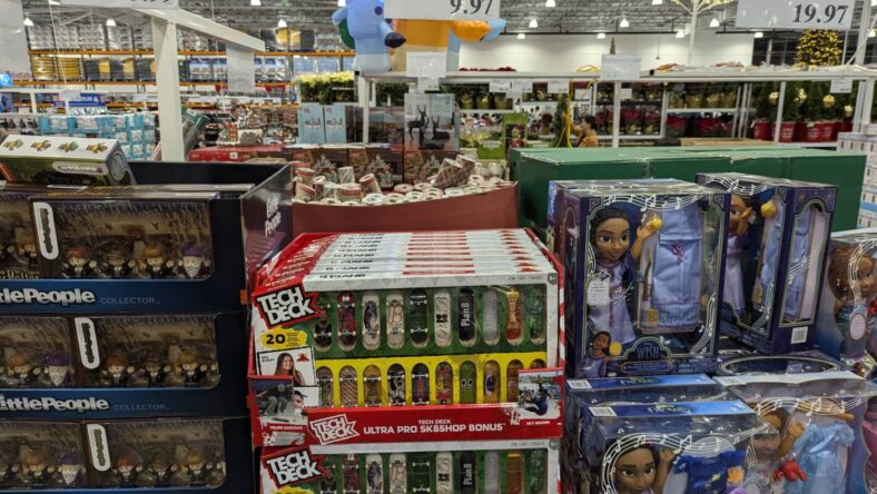 Tech Deck Ultra Pro SK8SHOP Bundle -1785070-Pleasanton, CA