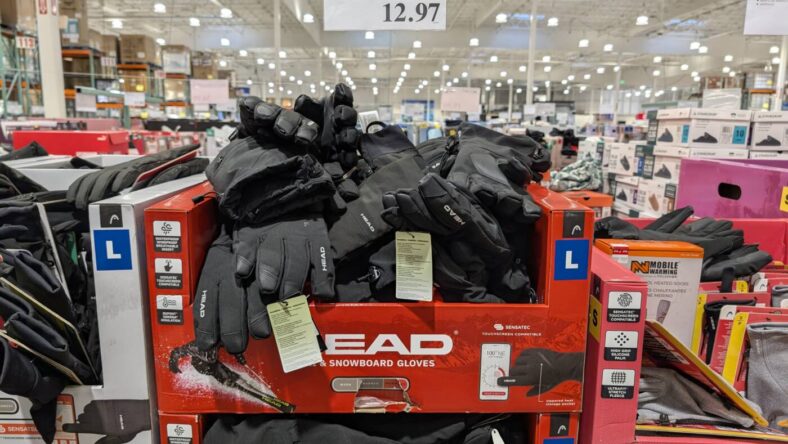 Head Unisex Adult Ski Gloves-1819390-Danville, CA