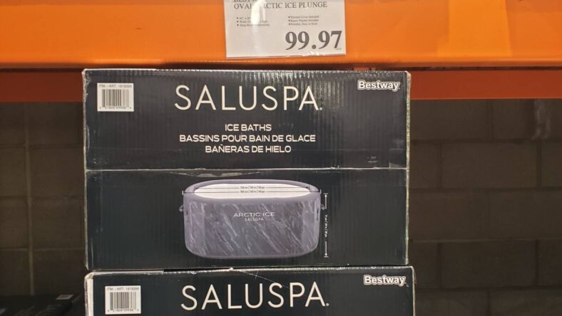 Bestway Oval Arctic Ice Plunge&nbsp;-1819399-Livermore, CA