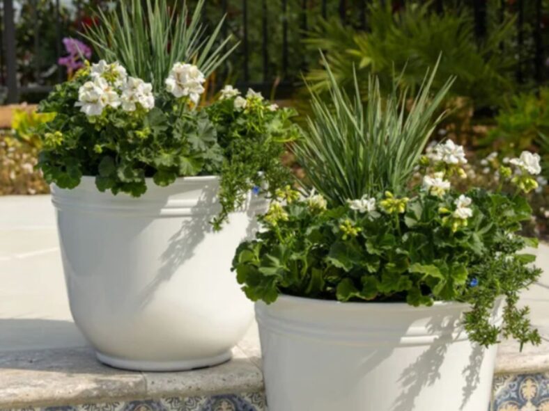 Theo Resin Planters Costco