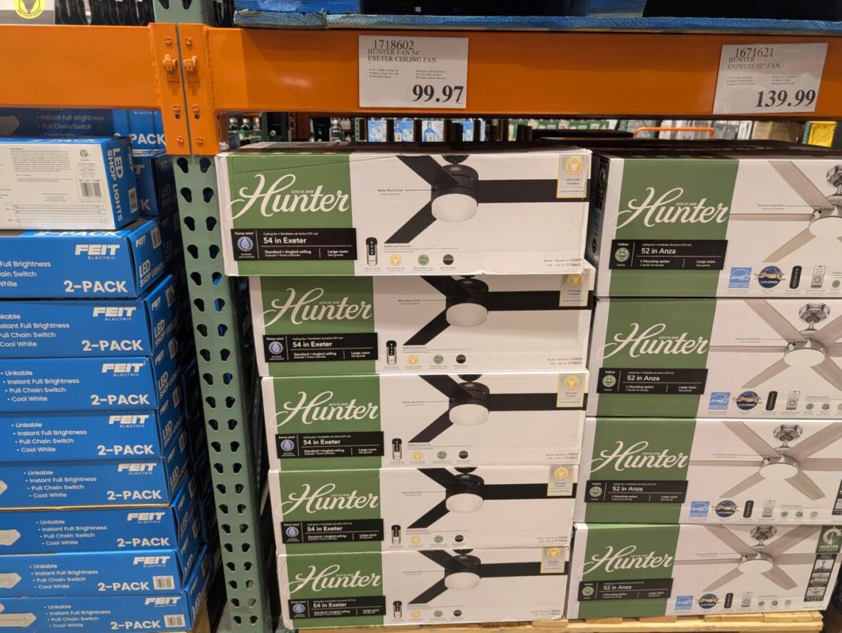 Hunter Fan 54 Exeter Ceiling Fan-1718602-Livermore, CA