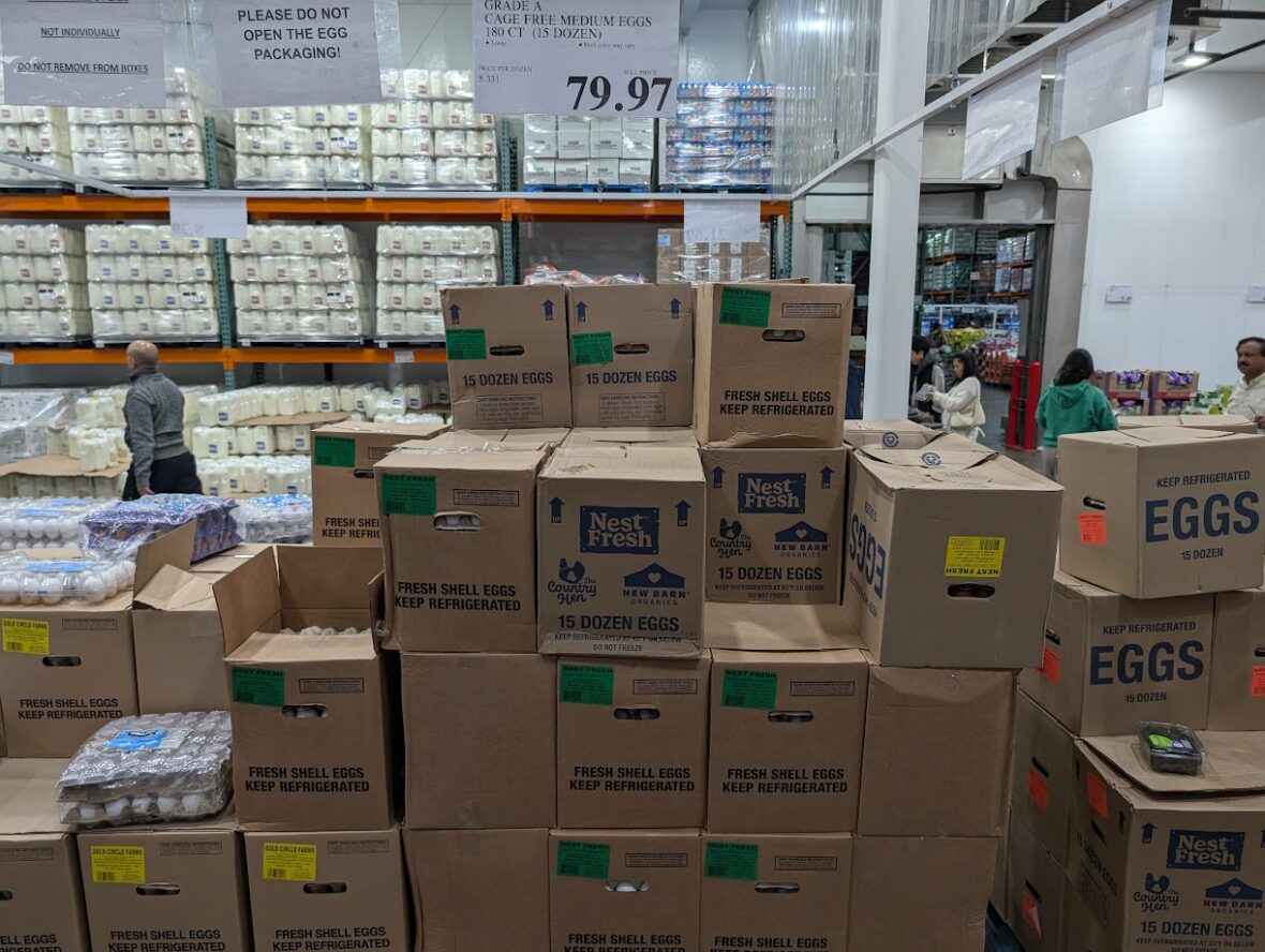 Grade-A-Cage-Free-Medium-Eggs-1653656
