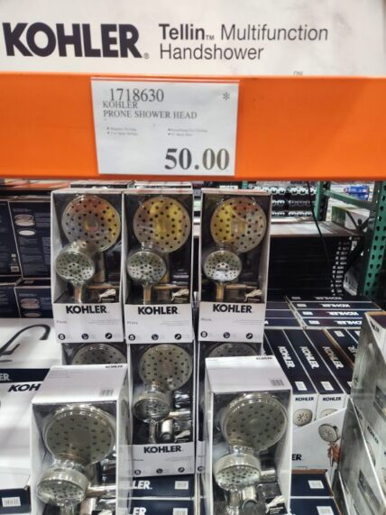 Kohler-Prone-Shower-Head-1718630