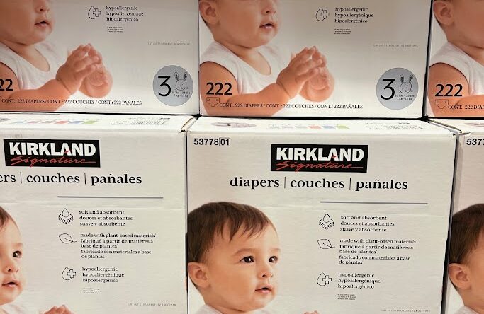 Kirkland-Signature-Diaper-Size-3-1481672