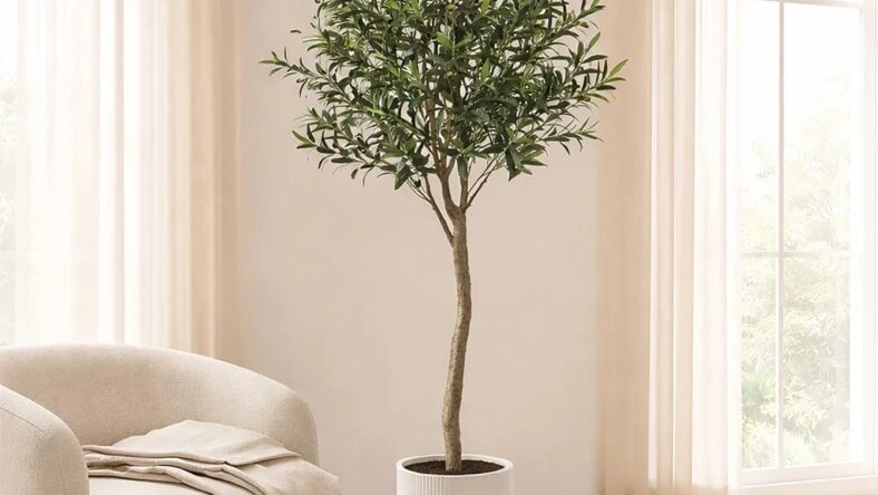Faux 6.5' Topiary Olive Tree