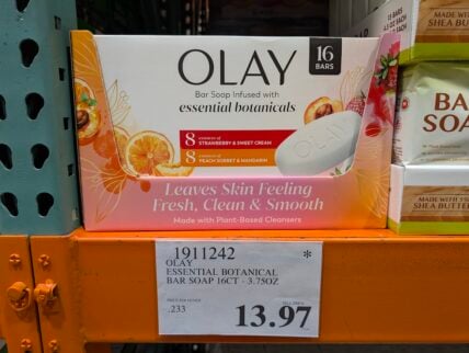 Olay-Essential-Botanical-Bar-Soap-1911242