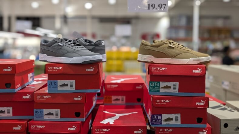 Puma-Mens-Skate-Sneaker-1840711