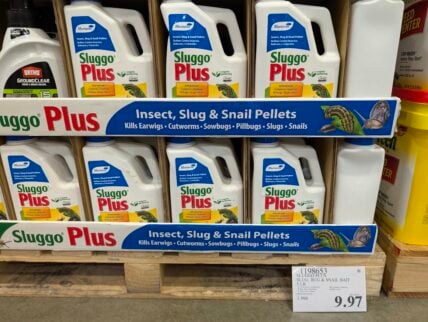 Sluggo-Plus-Slug-Bug-Snail-Bait-1198653
