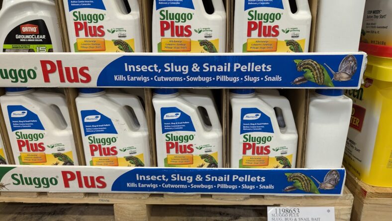 Sluggo-Plus-Slug-Bug-Snail-Bait-1198653