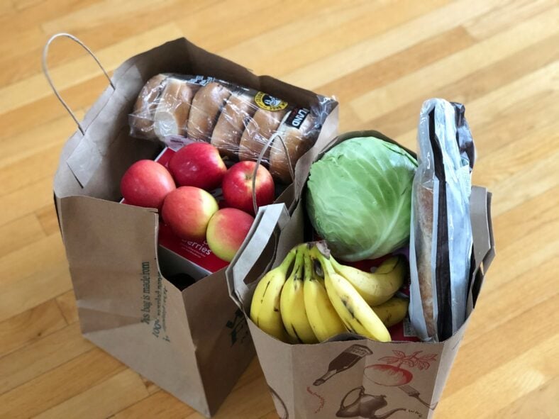 grocery bags / shopping tips for small households