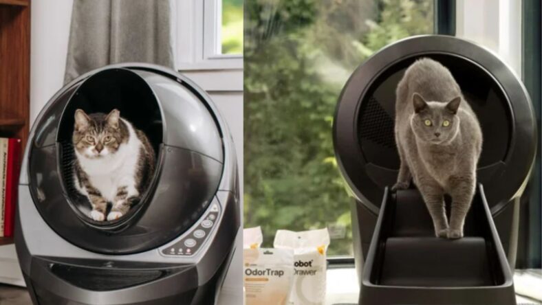 Costco Litter Robot 3 and 4