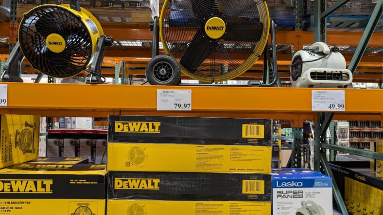 Dewalt-24-Inch-Drum-Fan-1806366