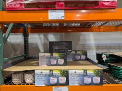 Essenza-Outdoor-Citronella-2-Pack-Candle-1799826