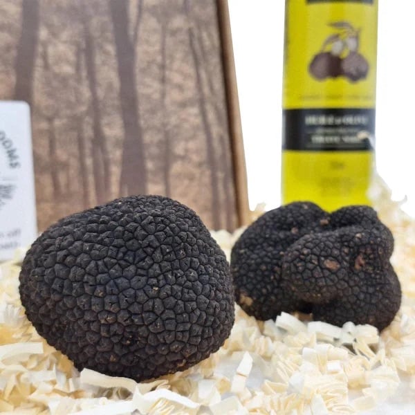 European Fresh Black Winter Truffles