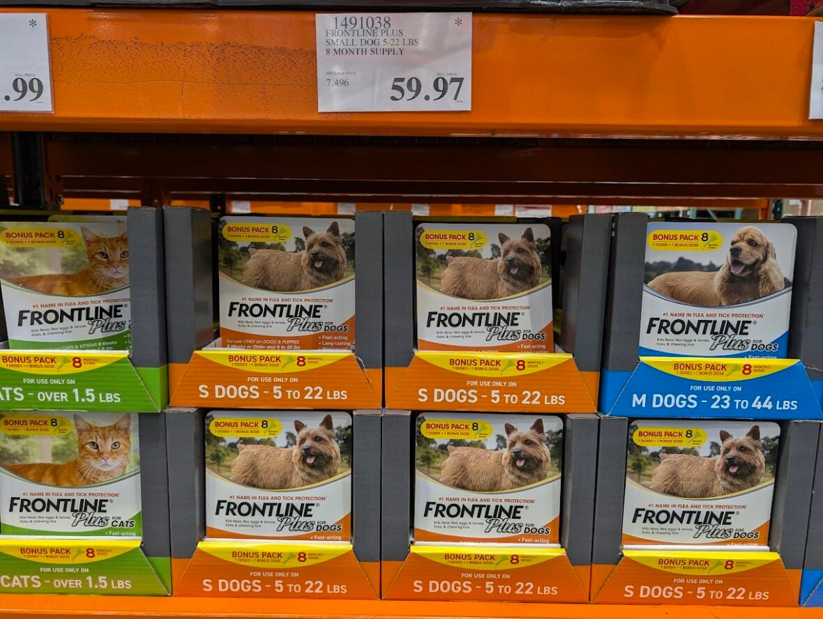 Frontline-Plus-Small-Dog-8-Month-Supply-1491038