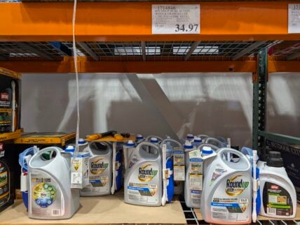 Roundup-Dual-Action-Weed-N-Grass-Killer-Gal-Jug-N-Conc-Refill-1714846