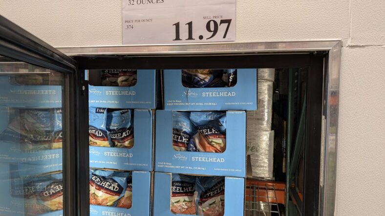 Singleton-Farm-Raised-Steelhead-1908249