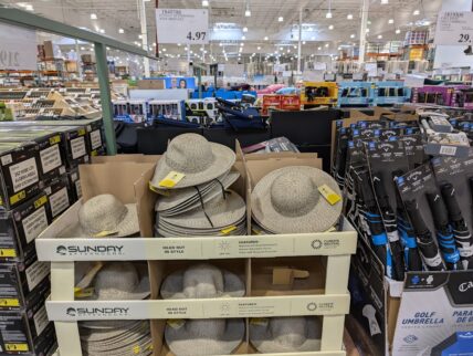 Sunday-Afternoons-Wide-Brim-Hat-1849386