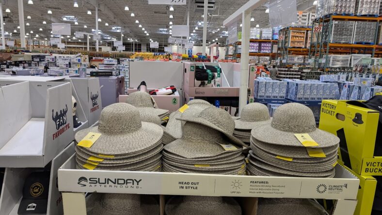 Sunday-Afternoons-Wide-Brim-Hat-1849386