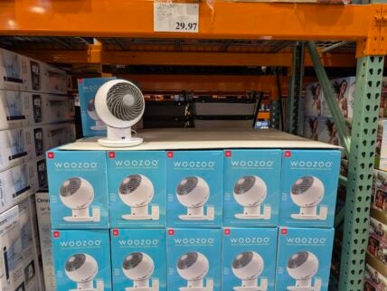 Woozoo-5-Speed-Glove-Fan-2354207