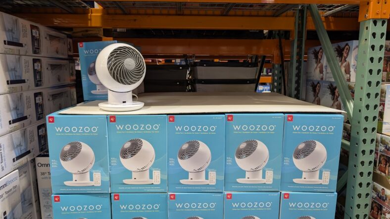 Woozoo-5-Speed-Glove-Fan-2354207