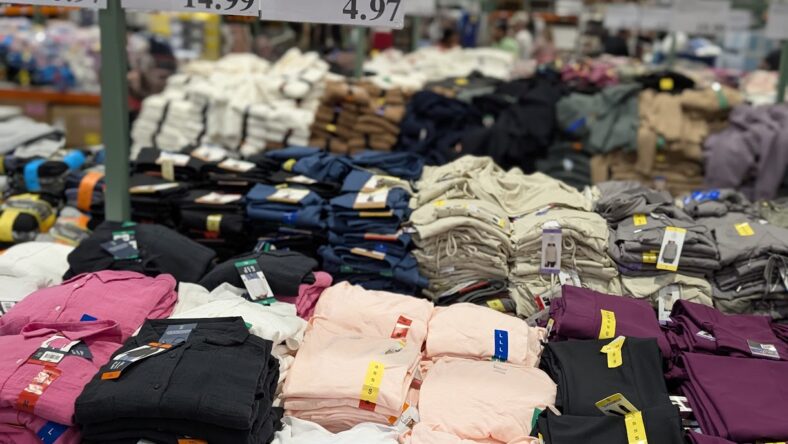 Felina-Womens-V-Neck-Slub-Tee-1851746