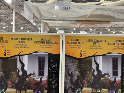 Halloween-Haunted-Trees-With-Infinity-Mirrors-3PC-1784907