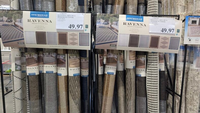 Ravenna-Area-Rug-Indoor-Outdoor-1766397