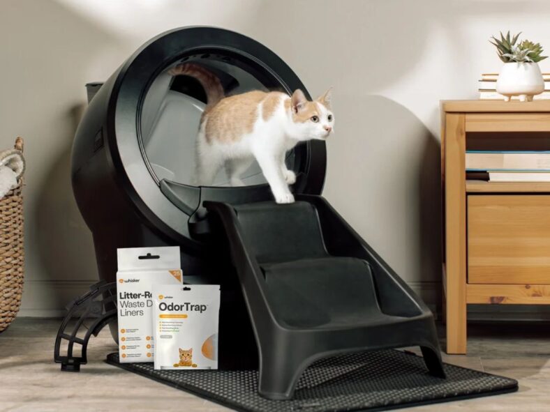 self-Cleaning Litter Box Costco