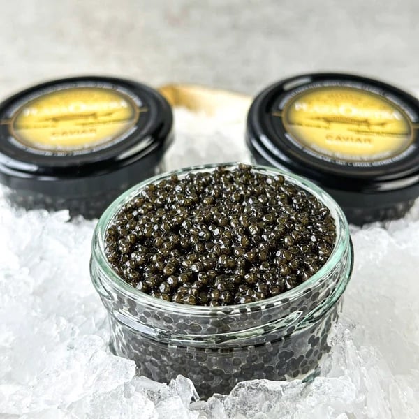 sturgeon caviar