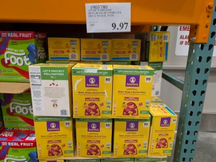 Annies-Organic-Bees-Bugs-Butterflies-Fruit-Snack-1903780