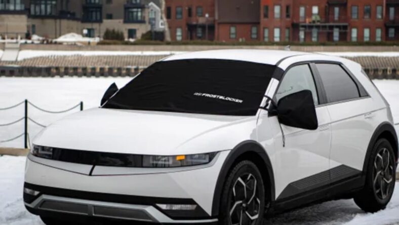 Frostblocker Cover Costco