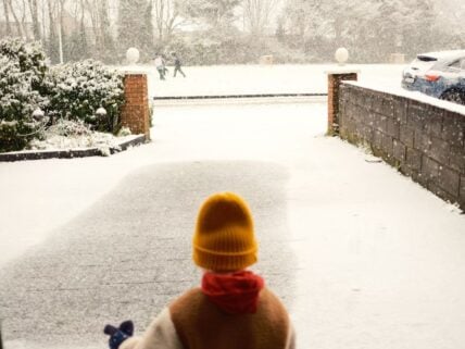 Must-Have Winter Finds from Costco Unsplash