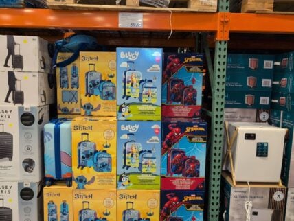 Licensed Luggage with Tag Character Assortment 360 Degree Spinner at Costco