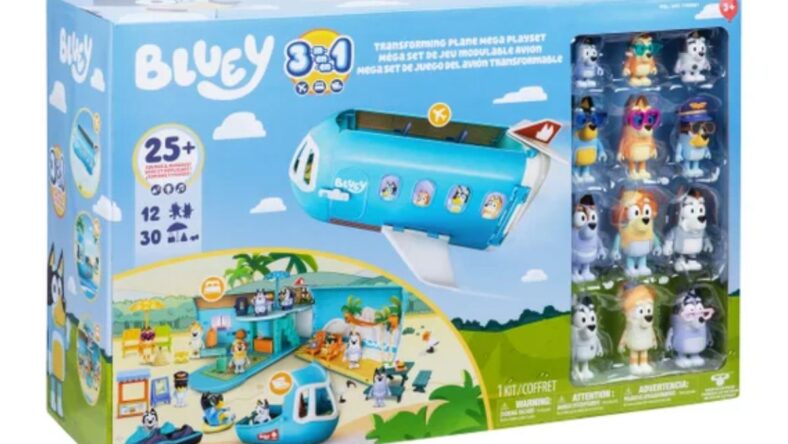 Bluey Toy Costco