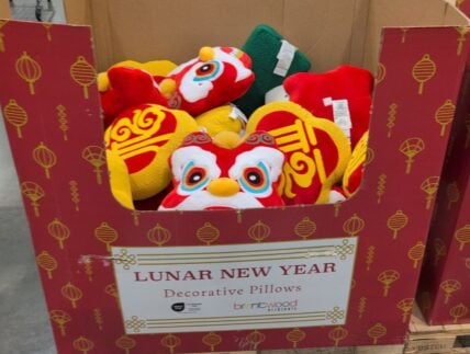 Brentwood Originals Lunar New Year Decorative Pillow at Costco