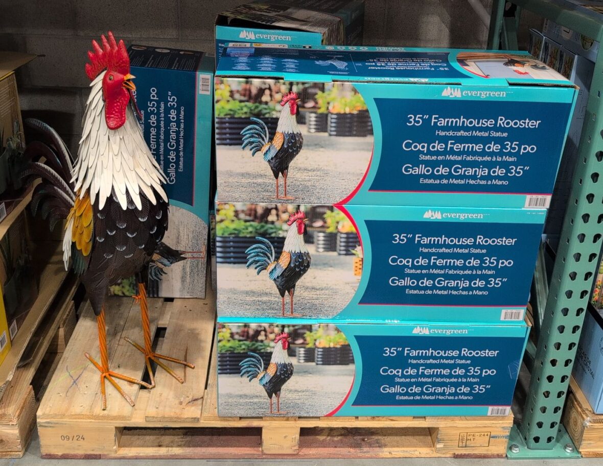Farmhouse Rooster Metal Statue at Costco