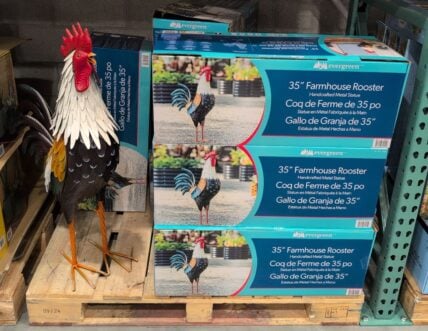 Farmhouse Rooster Metal Statue at Costco