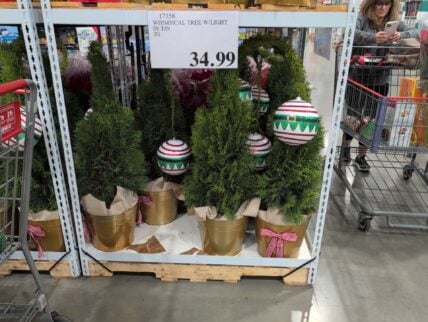 Whimsical Tree W/light in Tin at Costco