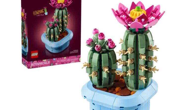LEGO Botanical Cactus Build
