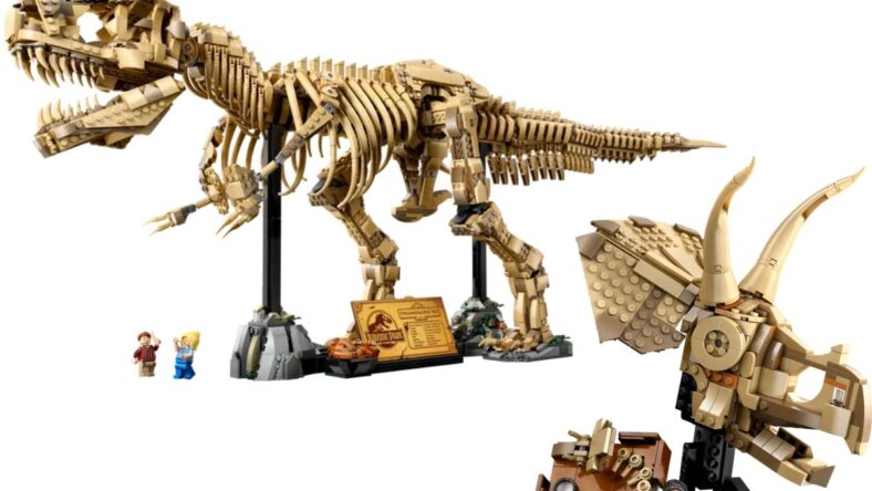 LEGO Tyrannosaurus Rex & Triceratops Skull