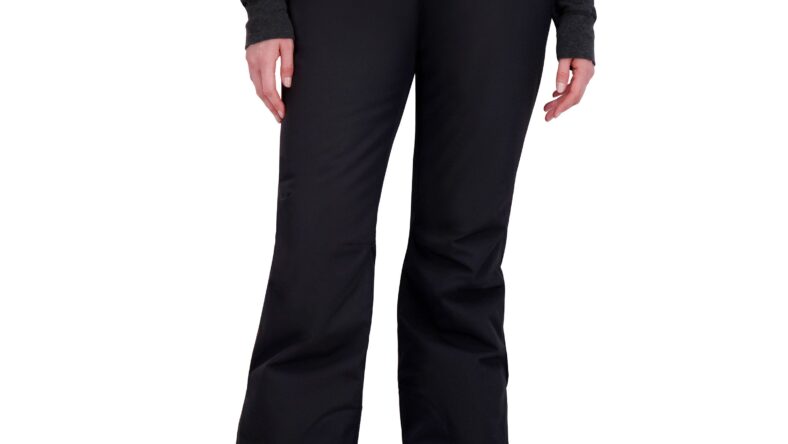 Roxy Women&rsquo;s Snowpants