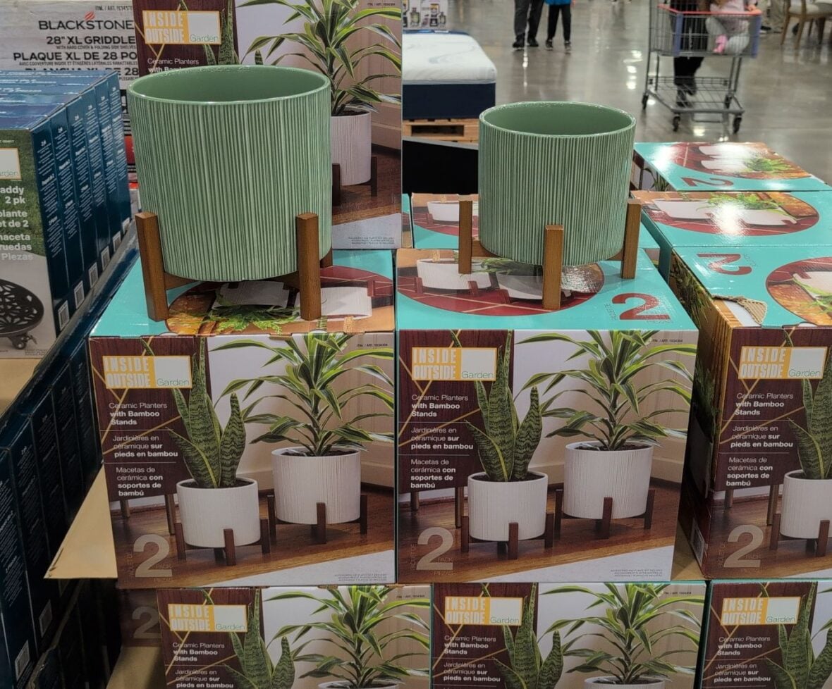 Ceramic Planters with Bambo0 Stands • Glazed Ceramic Finish at Costco