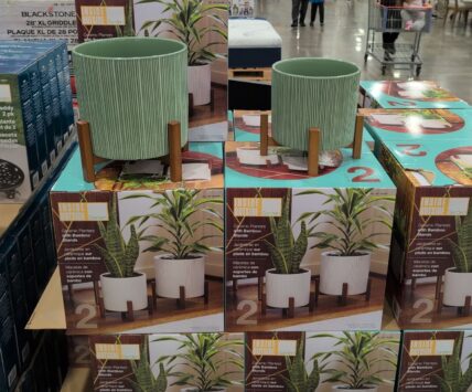 Ceramic Planters with Bambo0 Stands • Glazed Ceramic Finish at Costco