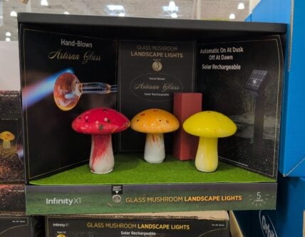 Infinity Xi Solar Mushroom Lights • 5 Lumens Per Light at Costco