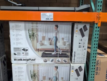 Kingsmith Walk & Work Walkingpad Under-desk Treadmill Speed Range O to 4 Mph at Costco