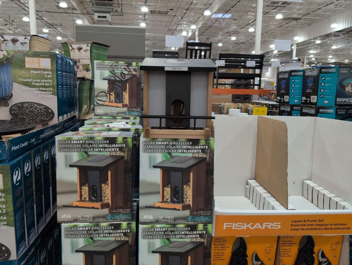 Solar Smart Bird Feeder •fsc Certified Wood • 1080p Hd Wifi Camera at Costco